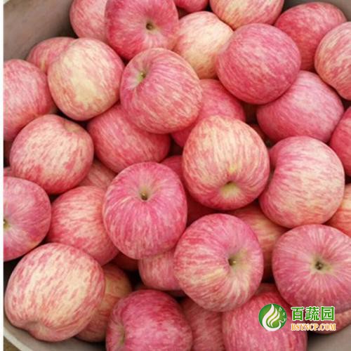 蘋（píng）果配送