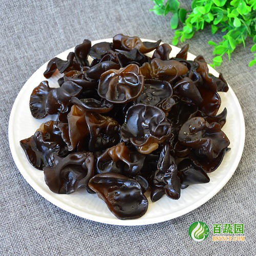 濕木（mù）耳配（pèi）送