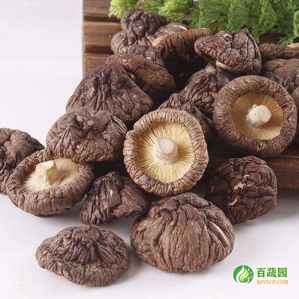 幹香菇配（pèi）送