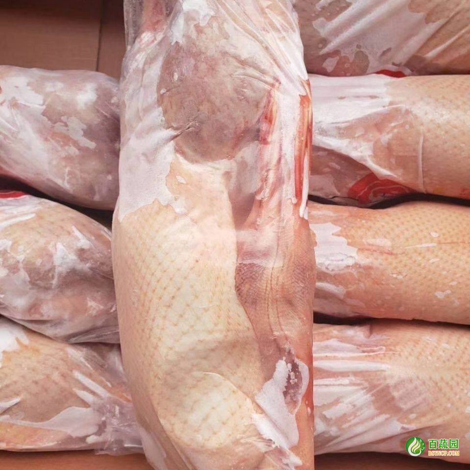 凍白條鴨配送