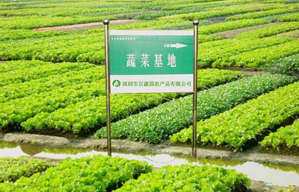 蔬菜基（jī）地