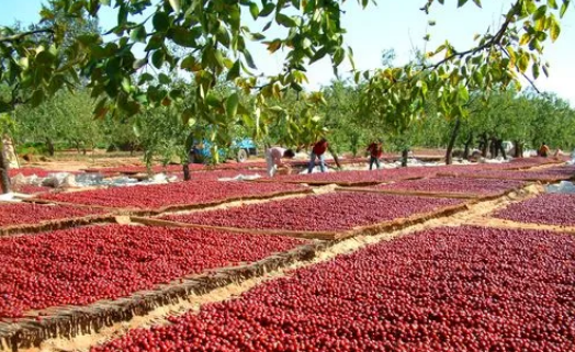 1698721506349949.png 111.png