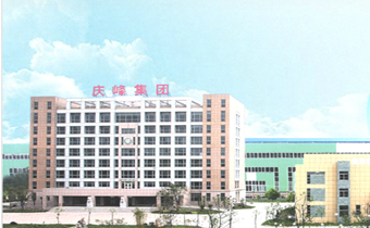 江蘇慶峰國際環保工程有（yǒu）限公司合作案例