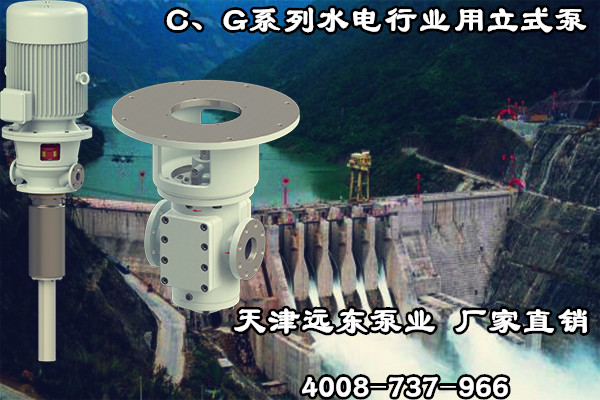 C、G係(xì)列水電行業用立式泵 C、G係列水電行業(yè)用立式泵