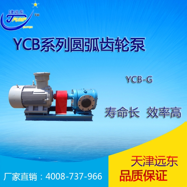 YCB圓弧齒輪泵 YCB圓弧齒(chǐ)輪泵